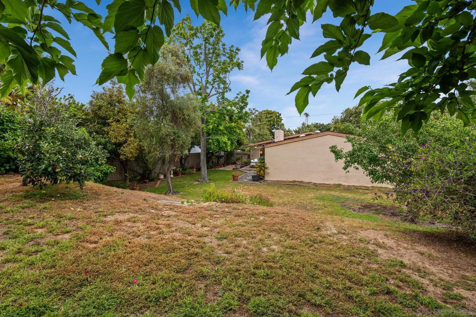 916 Crest Drive Encinitas, CA 92024 - Photo 37 of 47 a view of a yard with a tree