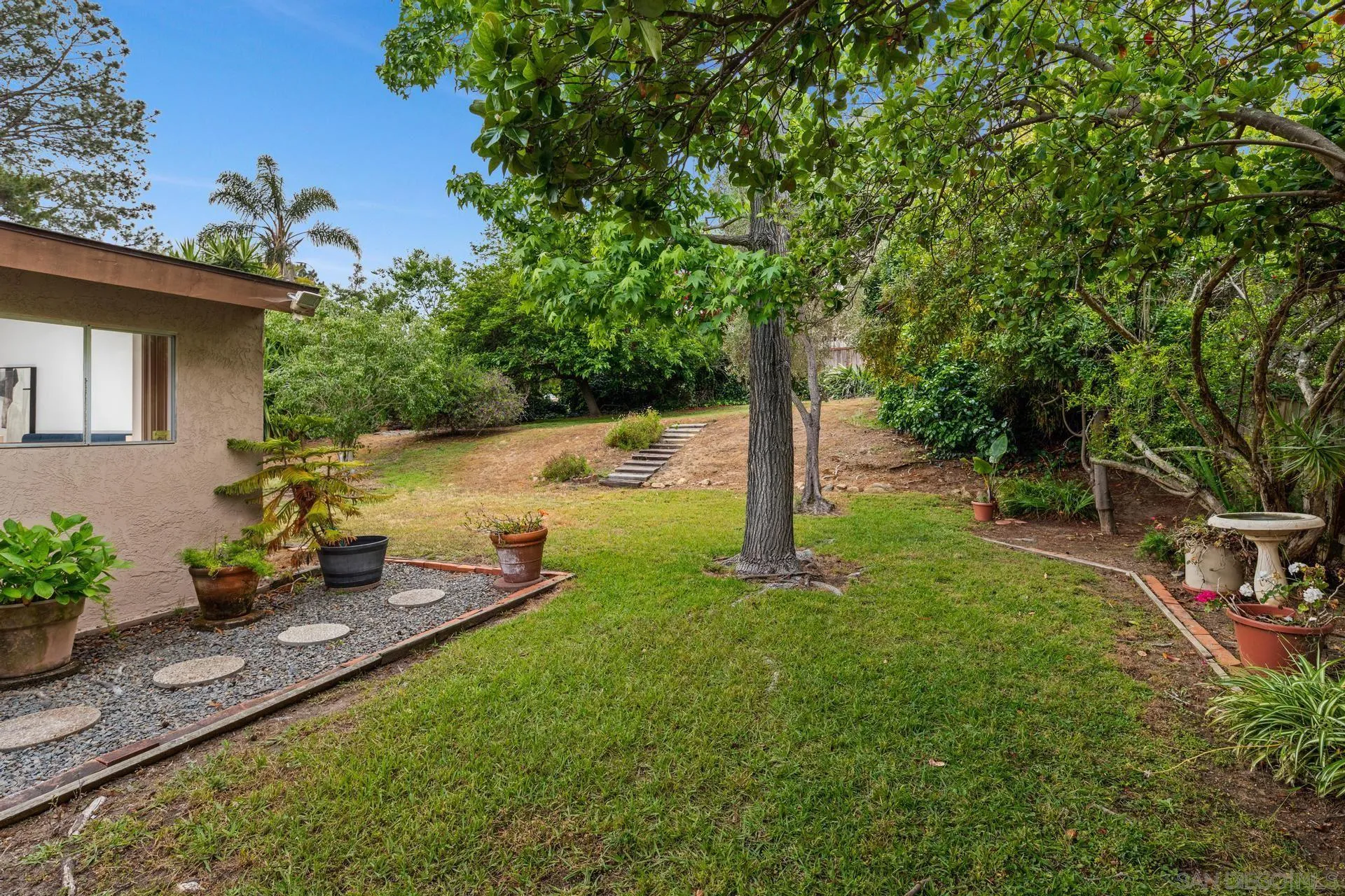916 Crest Drive Encinitas, CA 92024 - Photo 42 of 47 a backyard of a house with table and chairs plants and large tree