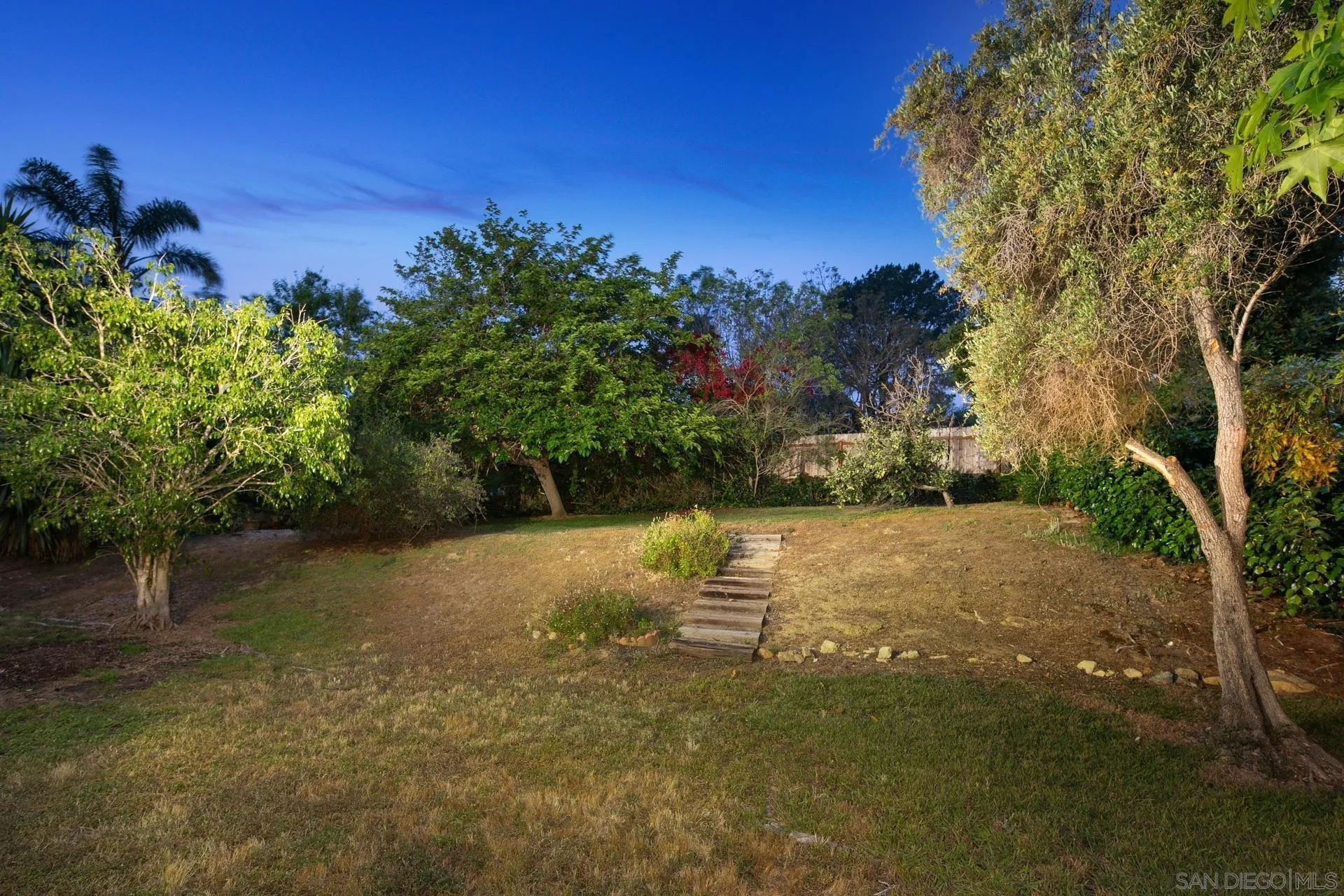 916 Crest Drive Encinitas, CA 92024 - Photo 7 of 47 a view of a yard with a tree