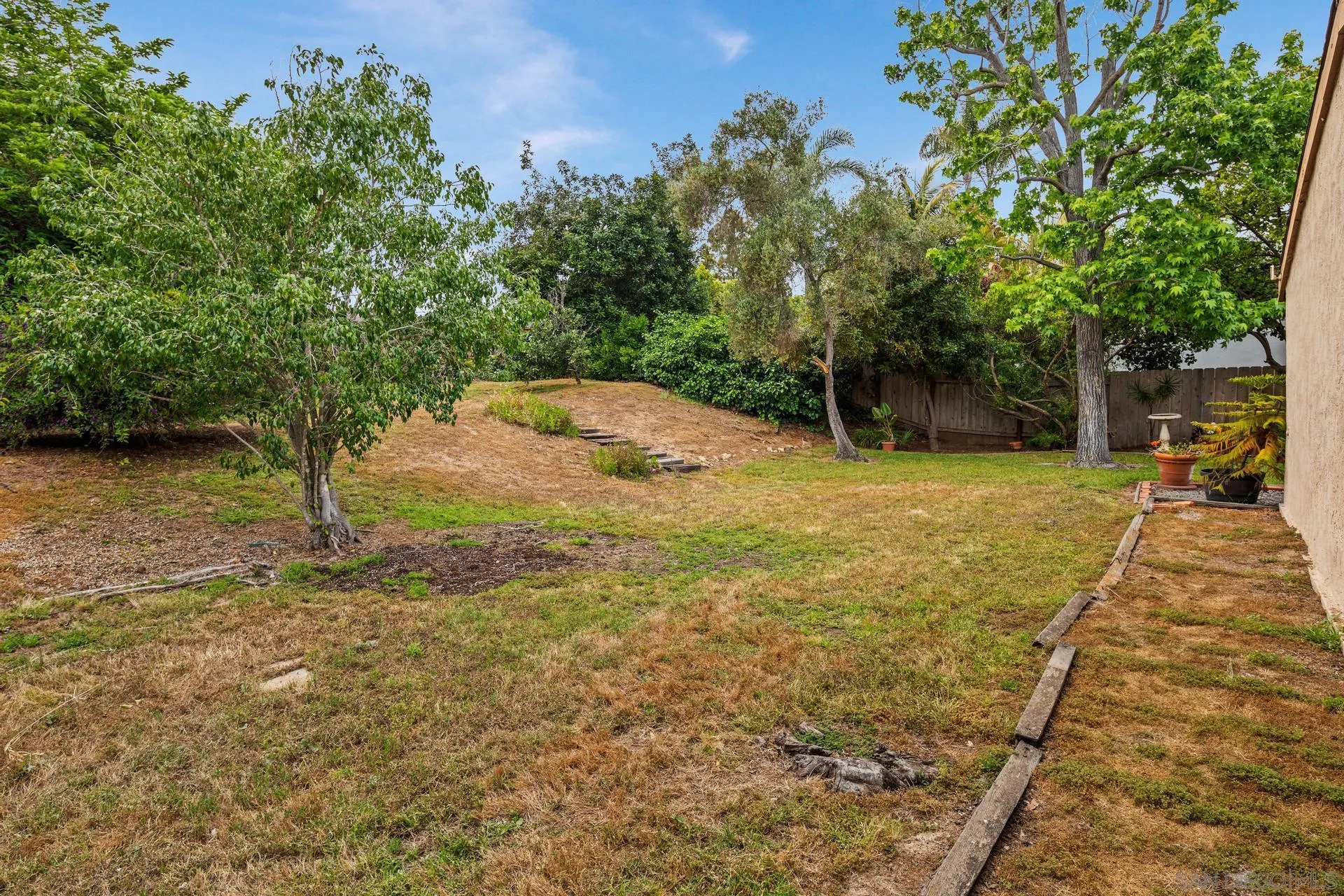 916 Crest Drive Encinitas, CA 92024 - Photo 9 of 47 a view of a yard with trees