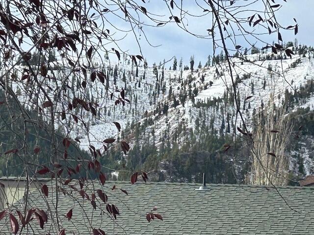 211 North 1st Avenue, Unit 5 Ketchum, ID 83340 - Photo 6 of 7 mtn views