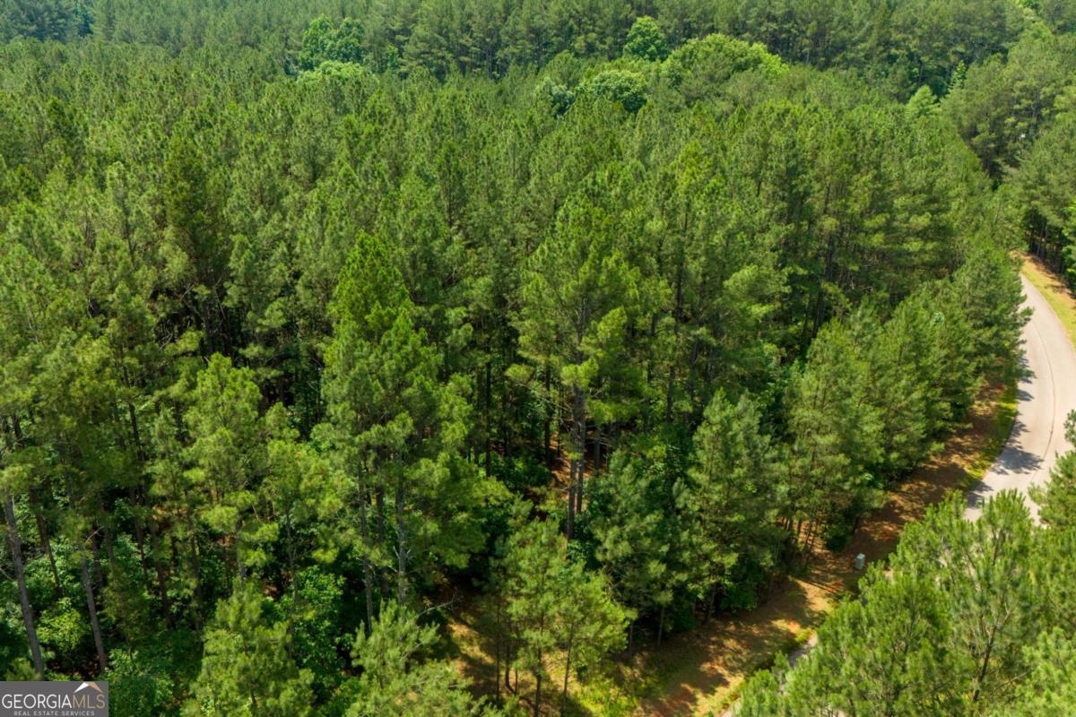 1441 Riverwalk Road Bishop, GA 30621 - Photo 3 of 7