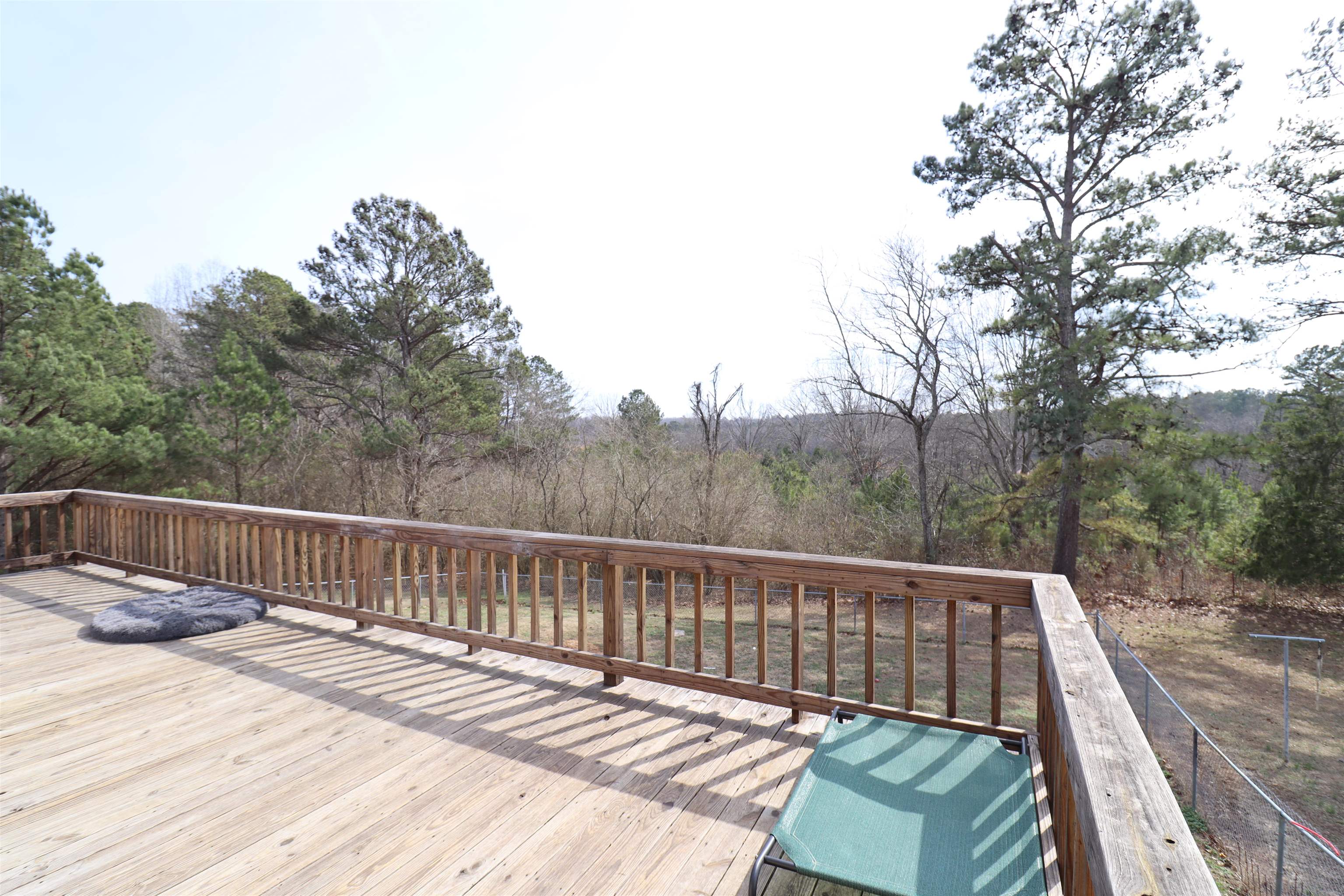 199 Moose Lodge Road Selmer, TN 38375 - Photo 8 of 39 Gallery Image 8