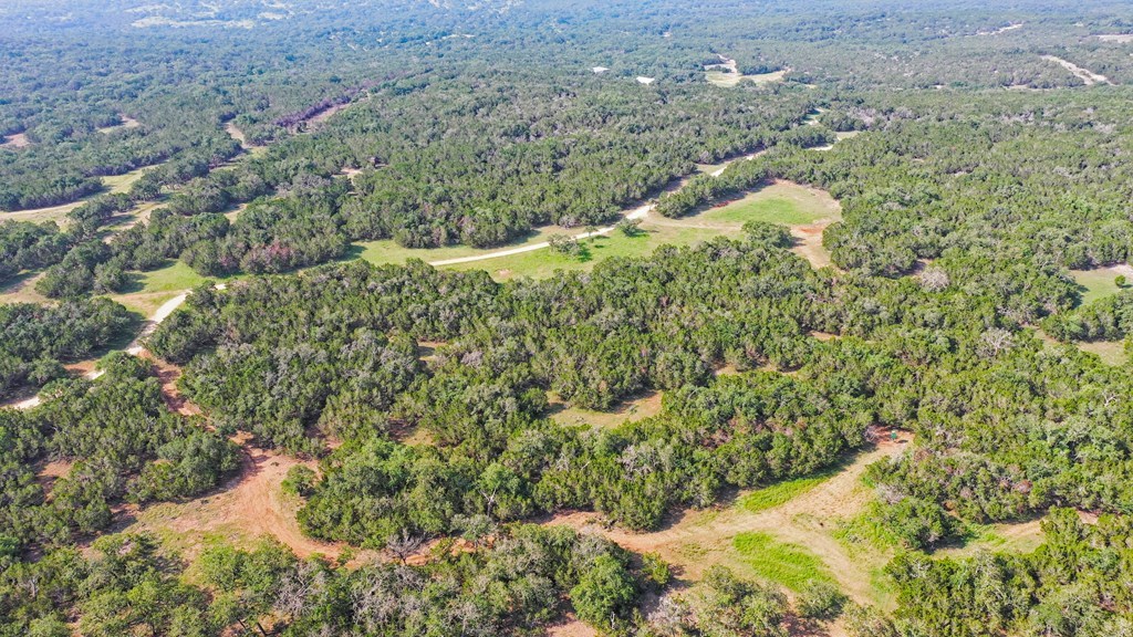 419 Yellowstone Lane Hunt, TX 78024 - Photo 13 of 74