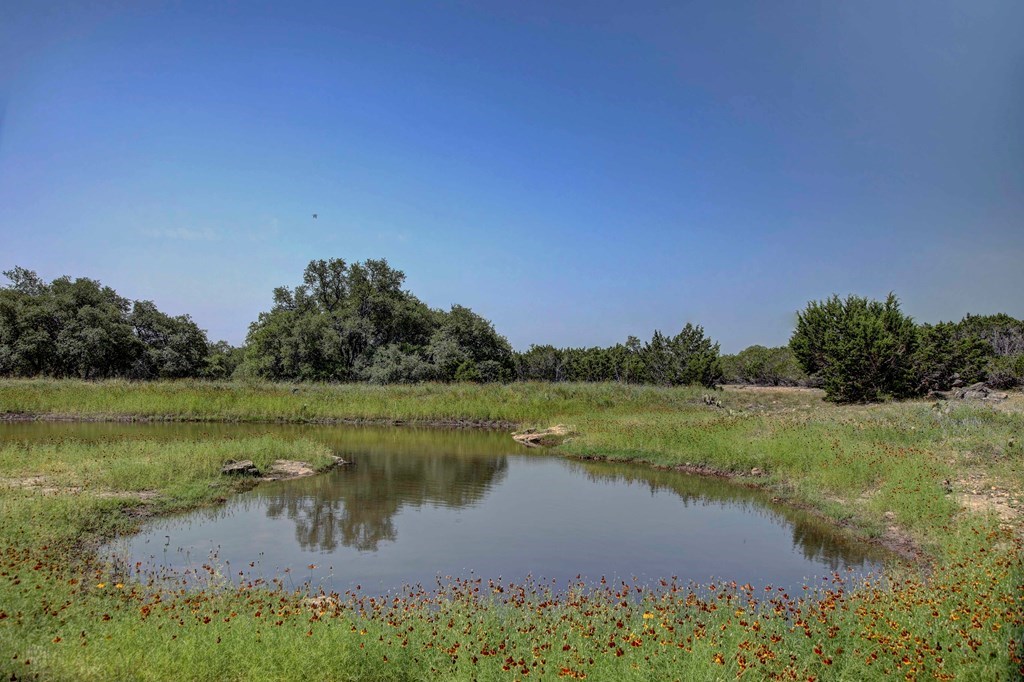 419 Yellowstone Lane Hunt, TX 78024 - Photo 14 of 74