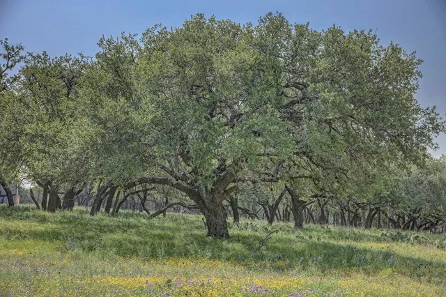 $1,350,000 | 419 Yellowstone Lane, Hunt, TX 78024