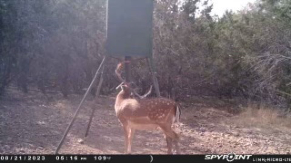 419 Yellowstone Lane Hunt, TX 78024 - Photo 17 of 74