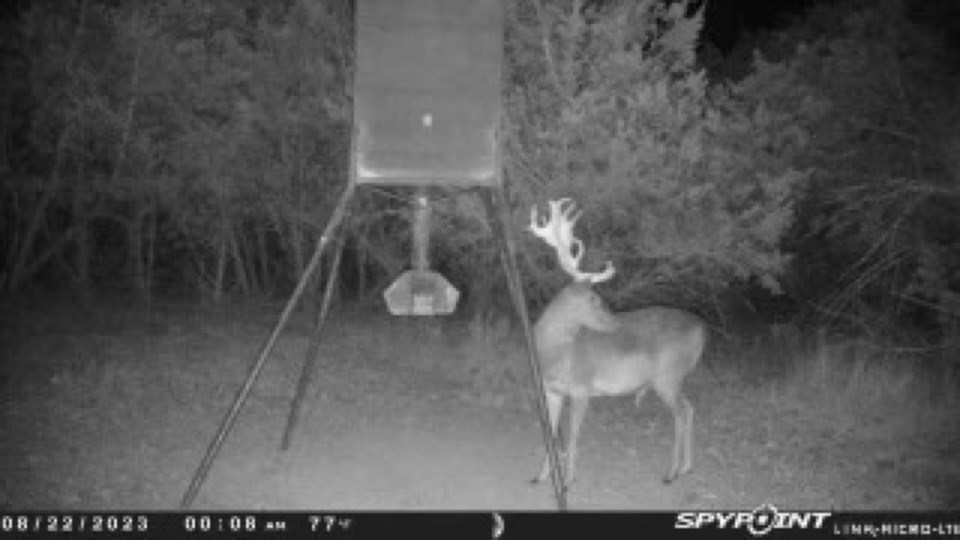 419 Yellowstone Lane Hunt, TX 78024 - Photo 22 of 74