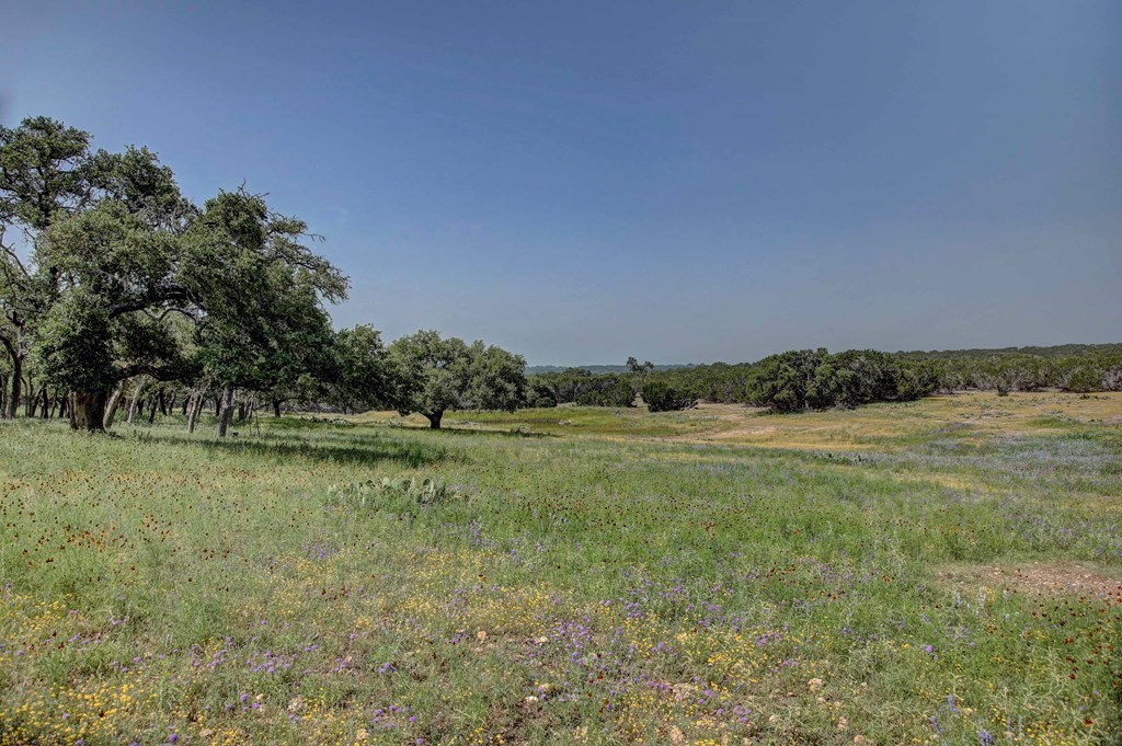 419 Yellowstone Lane Hunt, TX 78024 - Photo 24 of 74