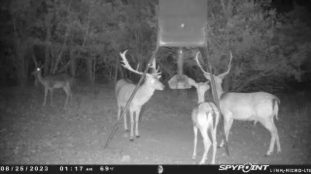 $1,350,000 | 419 Yellowstone Lane, Hunt, TX 78024