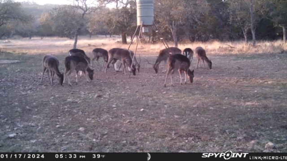 419 Yellowstone Lane Hunt, TX 78024 - Photo 32 of 74