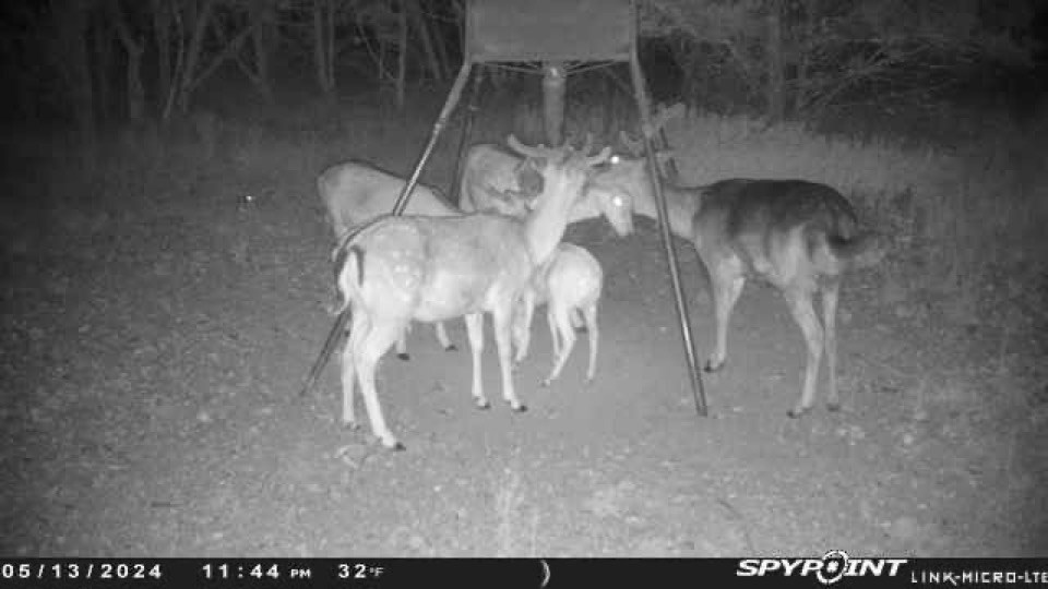 419 Yellowstone Lane Hunt, TX 78024 - Photo 5 of 74