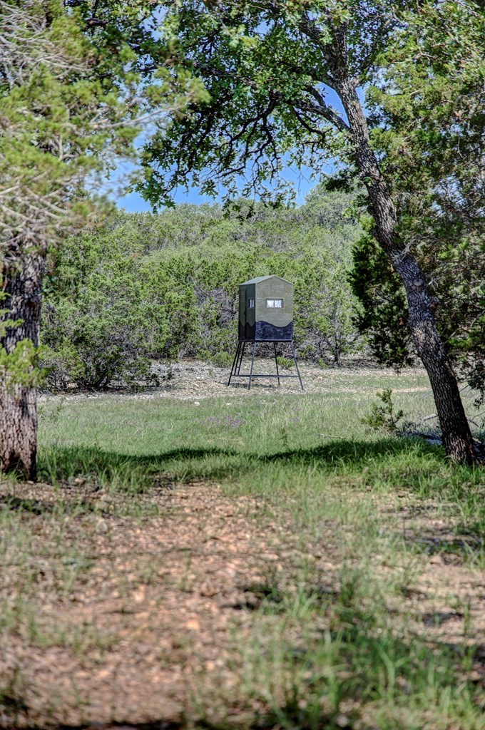 419 Yellowstone Lane Hunt, TX 78024 - Photo 59 of 74