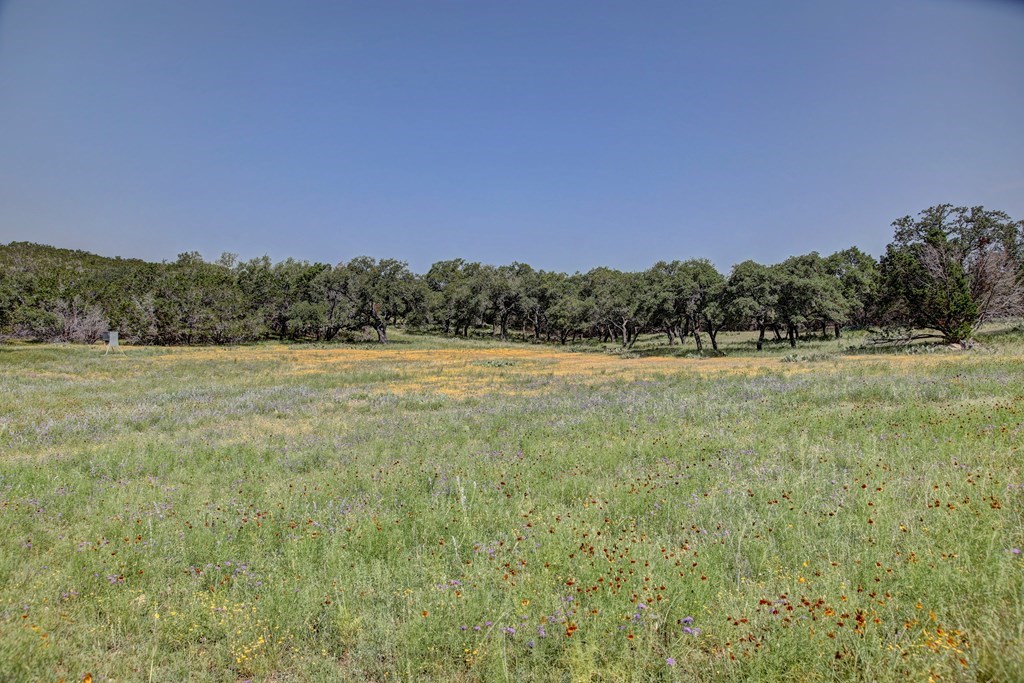 419 Yellowstone Lane Hunt, TX 78024 - Photo 60 of 74