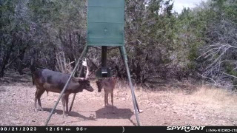 419 Yellowstone Lane Hunt, TX 78024 - Photo 6 of 74