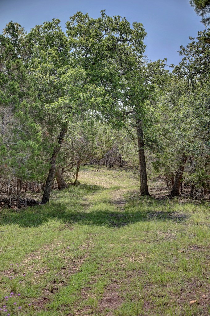 419 Yellowstone Lane Hunt, TX 78024 - Photo 63 of 74
