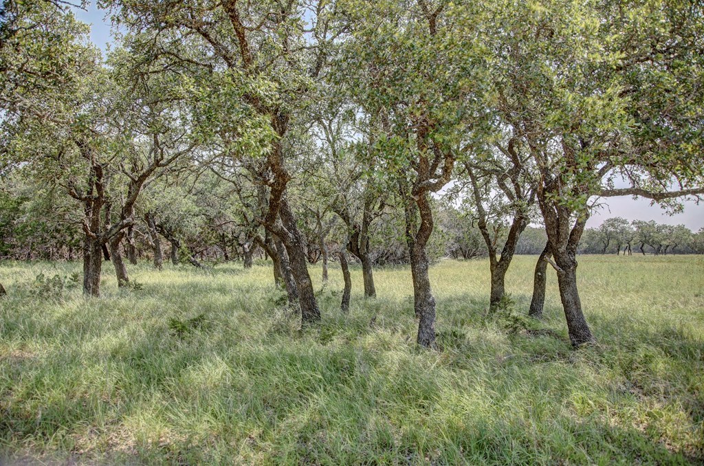 419 Yellowstone Lane Hunt, TX 78024 - Photo 67 of 74