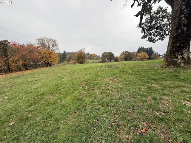 a view of backyard with tree