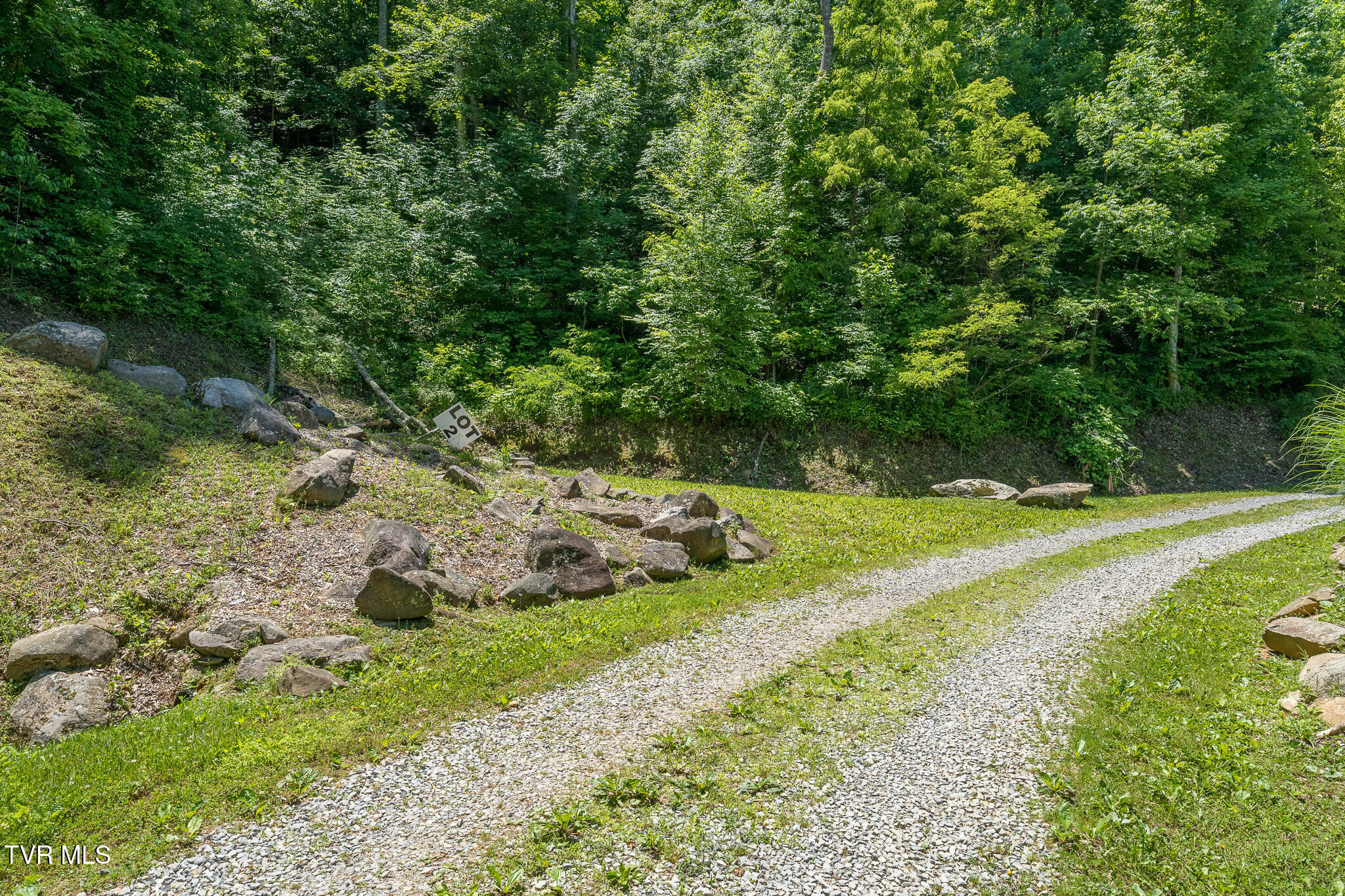 3 Ridgetop Lane, Unit 3 Unicoi, TN 37692 - Photo 2 of 20 Lot 2 Ridgetop Ln (37 of 47)