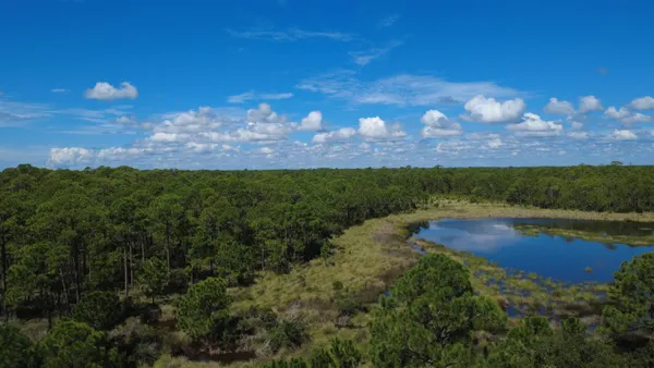 $160,000 | 667 Bald Point Road, Alligator Point, FL 32346
