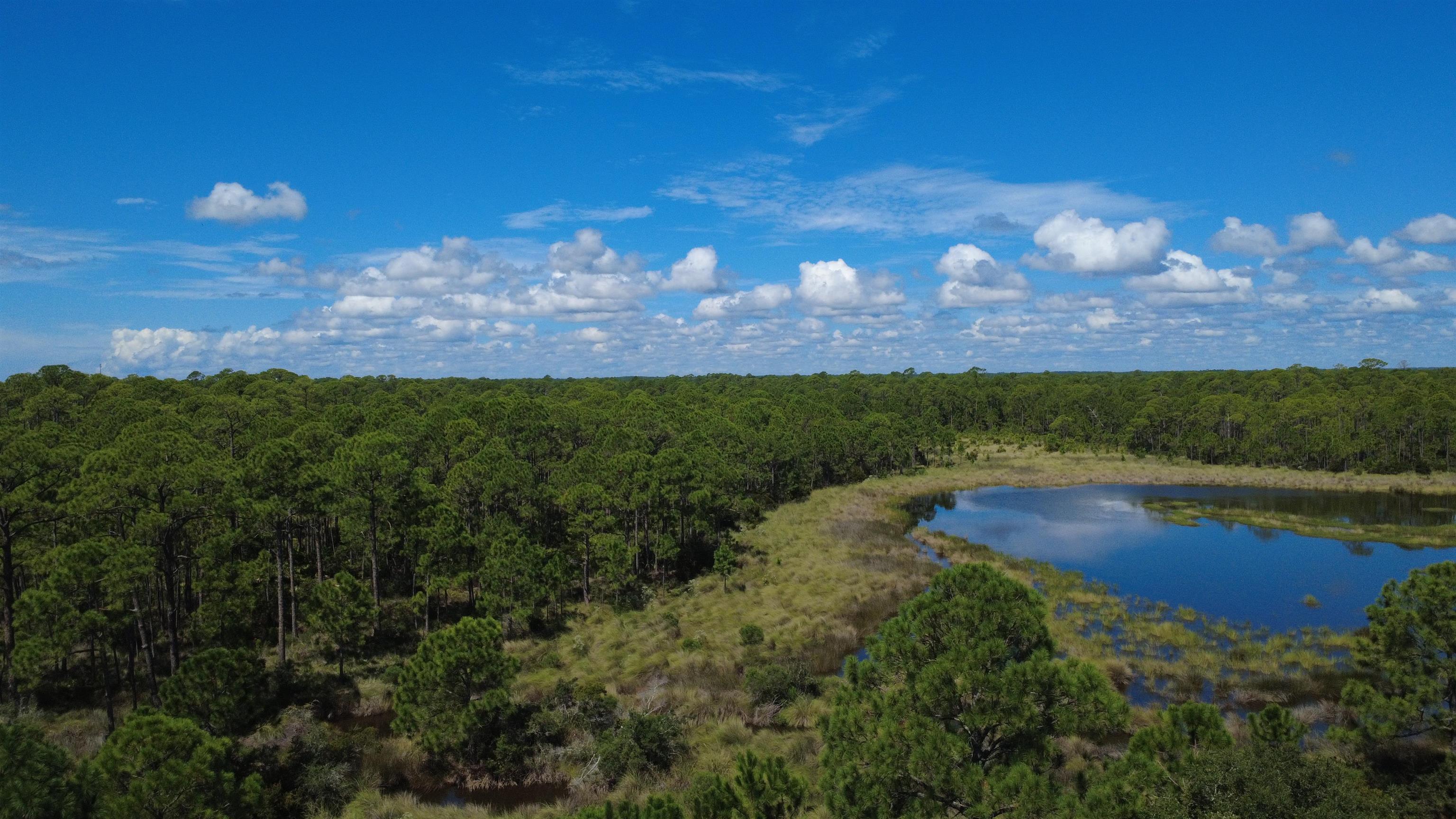 667 Bald Point Road Alligator Point, FL 32346 - Photo 1 of 16 Gallery Image 1