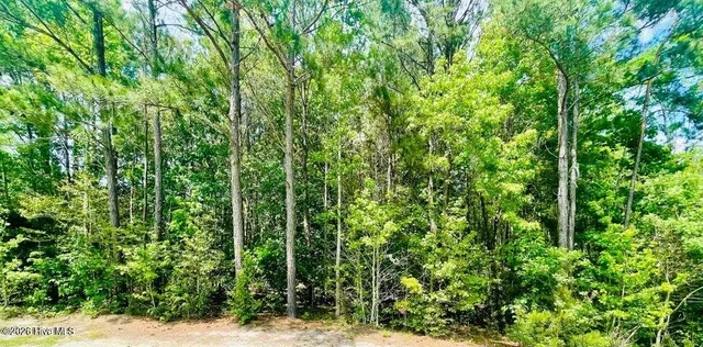 $60,000 | 139 Osprey Drive, Edenton, NC 27932