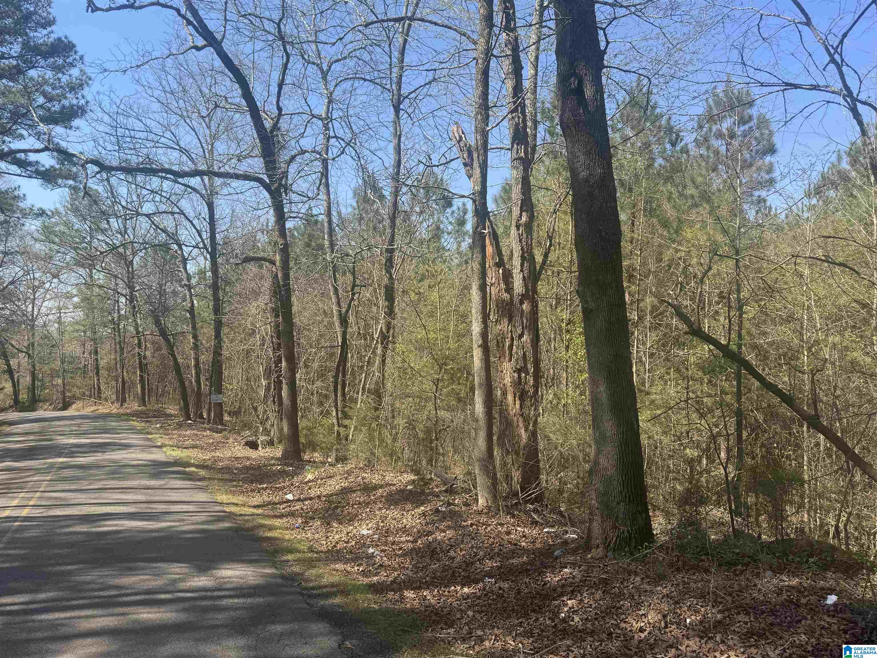 7-acres Willingham Bridge Road Anniston, AL 36201 - Photo 3 of 4