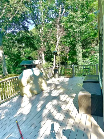 a view of a yard with large trees