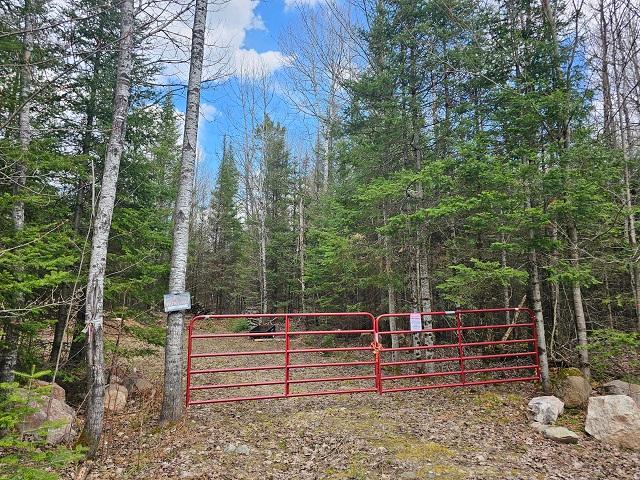 3614 West Nathan Pass Mercer, WI 54547 - Photo 25 of 25 Gallery Image 25