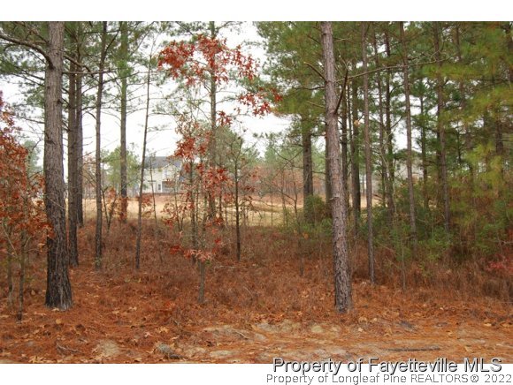 113 Valley Stream Road Spring Lake, NC 28390 - Photo 3 of 17 Gallery Image 3