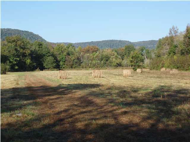 691 Jones Crossing Road Whitwell, TN 37397 - Photo 9 of 14 Additional Photo