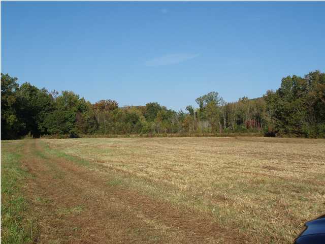 691 Jones Crossing Road Whitwell, TN 37397 - Photo 10 of 14 Additional Photo