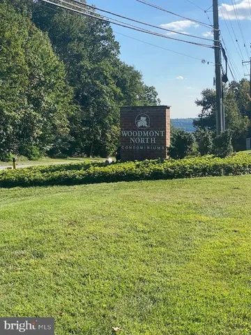 a view of a bunch of green space