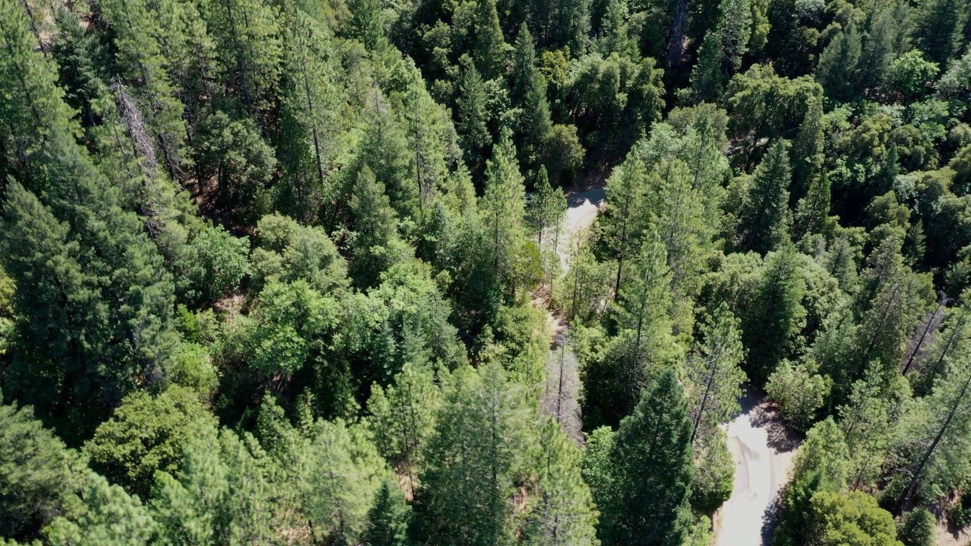 Girard Ridge Castella, CA 96017 - Photo 8 of 13 Gallery Image 8