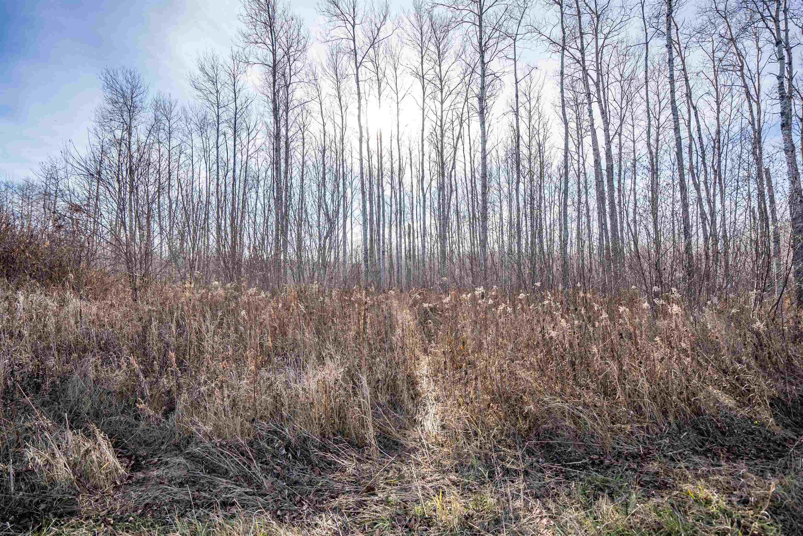 3887 South Lyman Lake Road South Range, WI 54874 - Photo 37 of 45