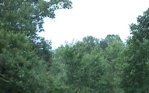 L326 Echo Road Morganton, GA 30560 - Photo 1 of 1 Main View