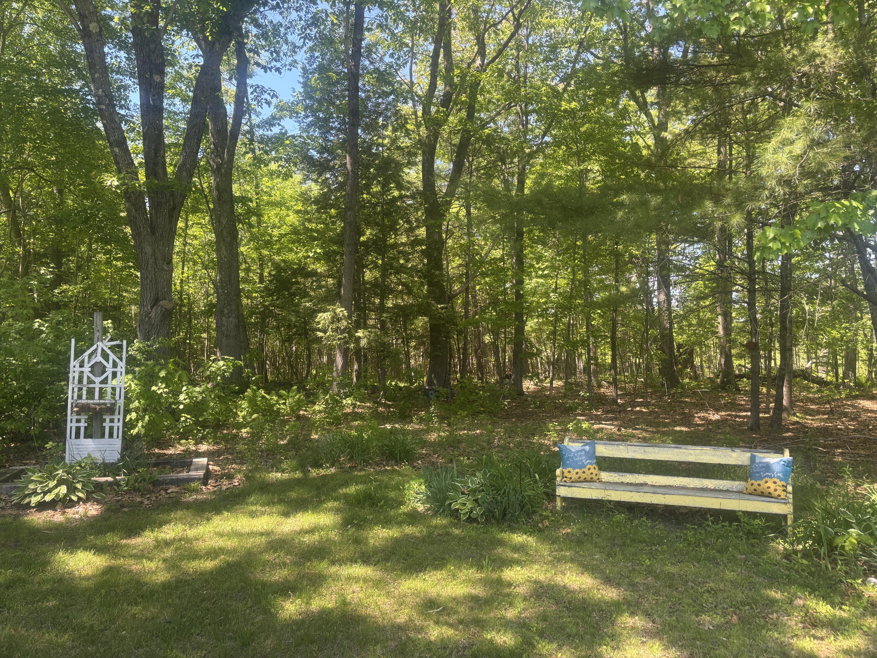 20 Rowdy Lane Burnham, ME 04922 - Photo 10 of 39 IMG_7314