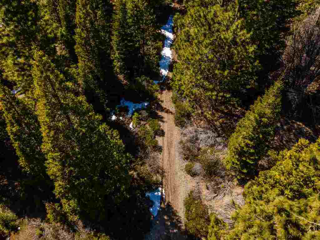 40-acres Off Deetz Road Mount Shasta, CA 96067 - Photo 7 of 25 Gallery Image 7