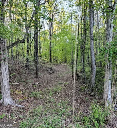 $60,000 | 0 Ga Hwy 116, Hamilton, GA 31811