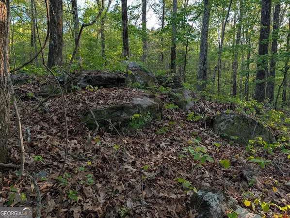 $60,000 | 0 Ga Hwy 116, Hamilton, GA 31811