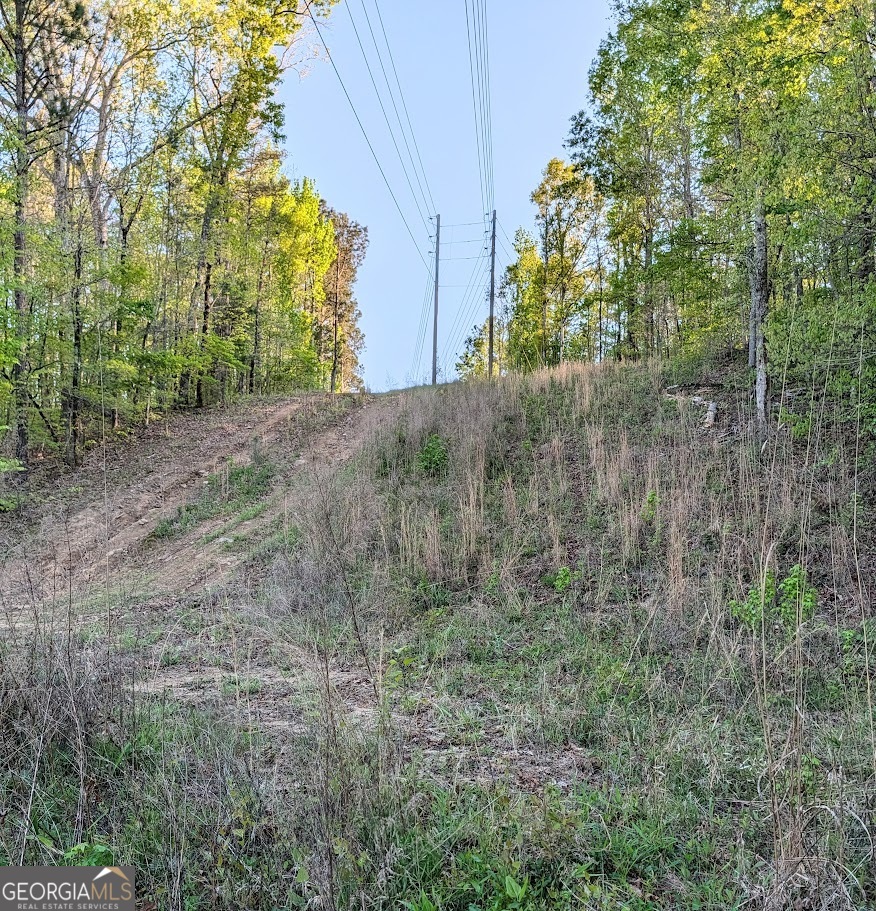 0 Ga Hwy 116 Hamilton, GA 31811 - Photo 18 of 20 a view of a yard