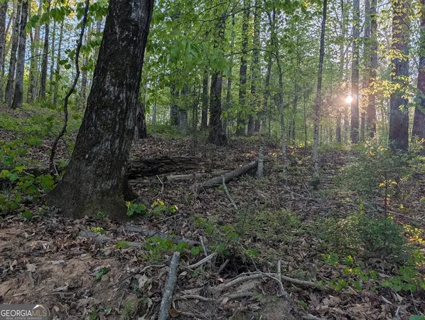$60,000 | 0 Ga Hwy 116, Hamilton, GA 31811