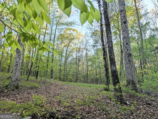 $60,000 | 0 Ga Hwy 116, Hamilton, GA 31811