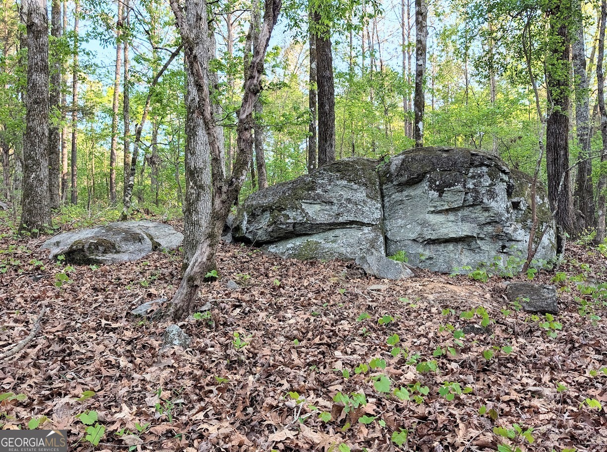 0 Ga Hwy 116 Hamilton, GA 31811 - Photo 7 of 20 a backyard of a house with lots of green space
