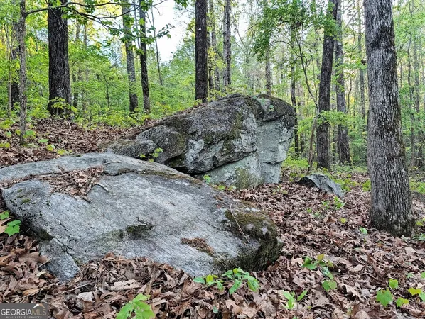 $60,000 | 0 Ga Hwy 116, Hamilton, GA 31811