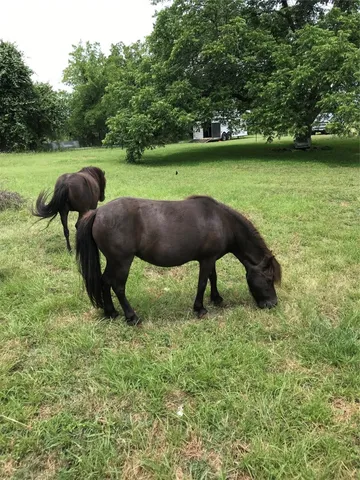 $350,000 | 20311 State Highway 95, Holland, TX 76534