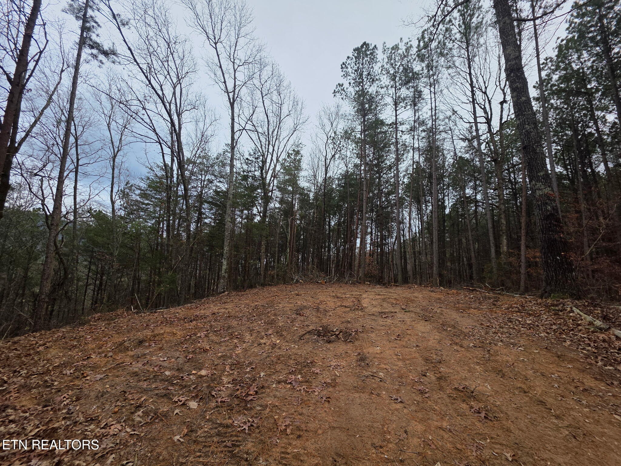 4 Parksville Road Benton, TN 37307 - Photo 2 of 11