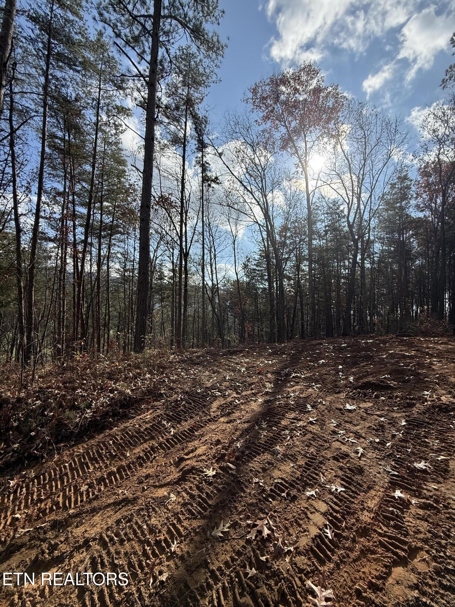 4 Parksville Road Benton, TN 37307 - Photo 3 of 11