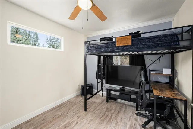 a view of a house with a yard and large tree