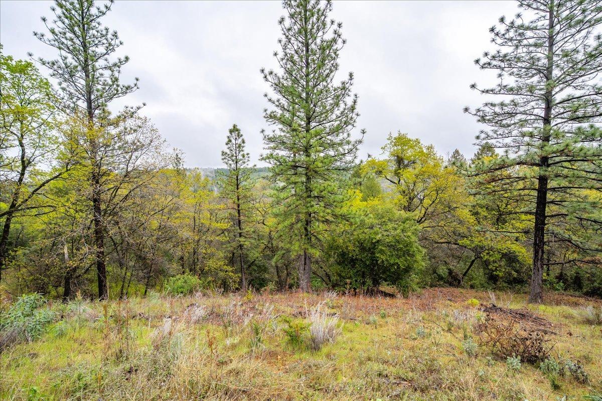 2227 Swansboro Road Placerville, CA 95667 - Photo 48 of 59 a view of lake view with large tree